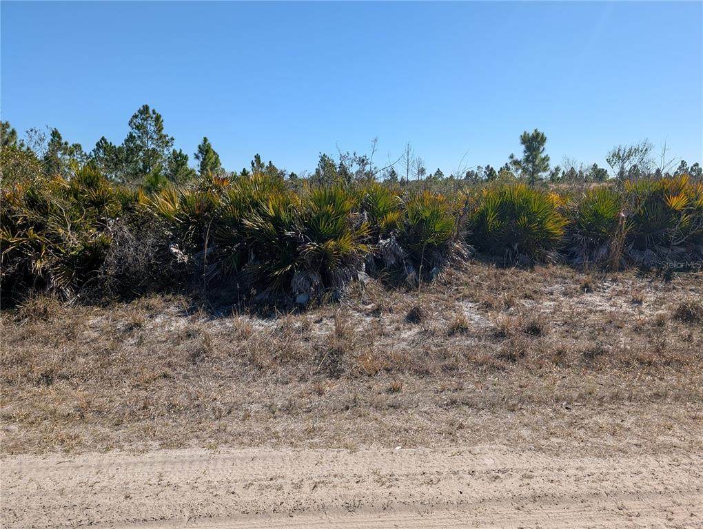 1211 Pinnata Drive - Photo 1