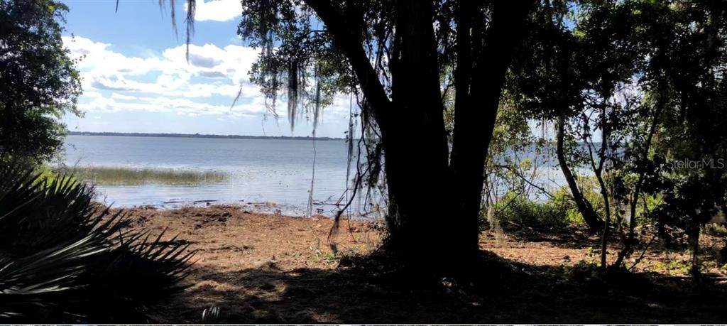  Lake Reedy Boulevard - Photo 1
