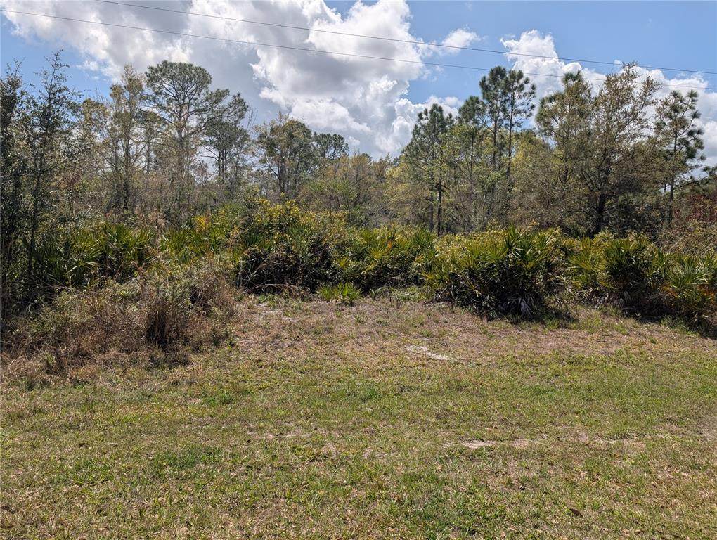 817 Poinciana Drive - Photo 1