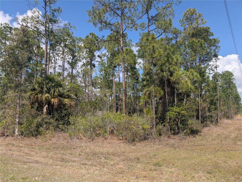802 Althea Drive - Photo 1