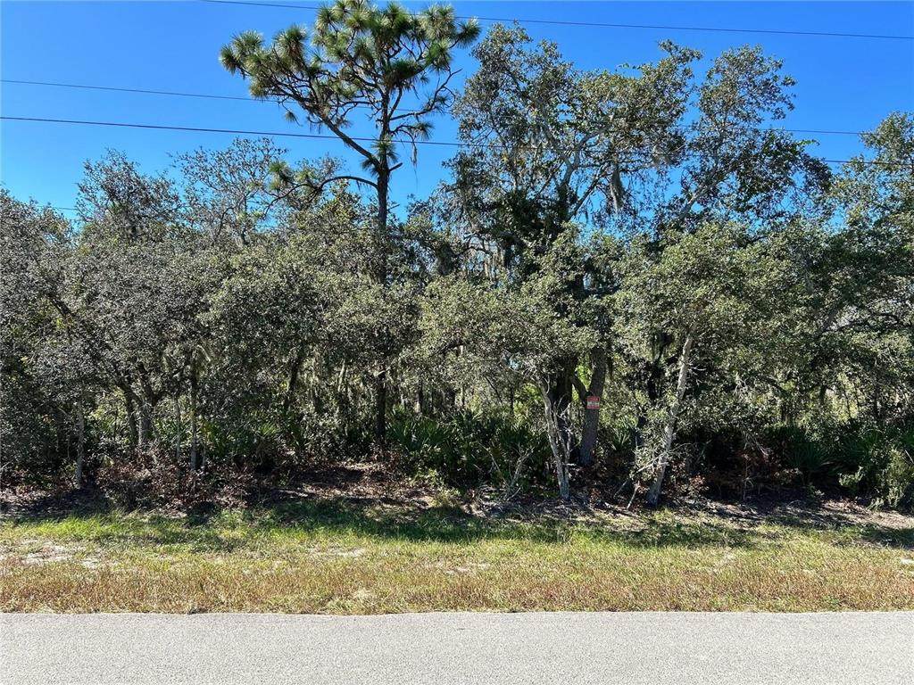  Woodstork Way - Photo 1