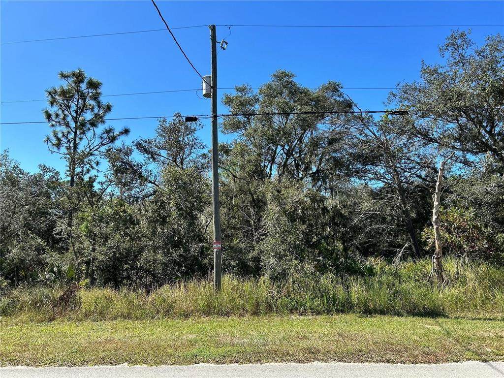 Woodstork Way - Photo 1