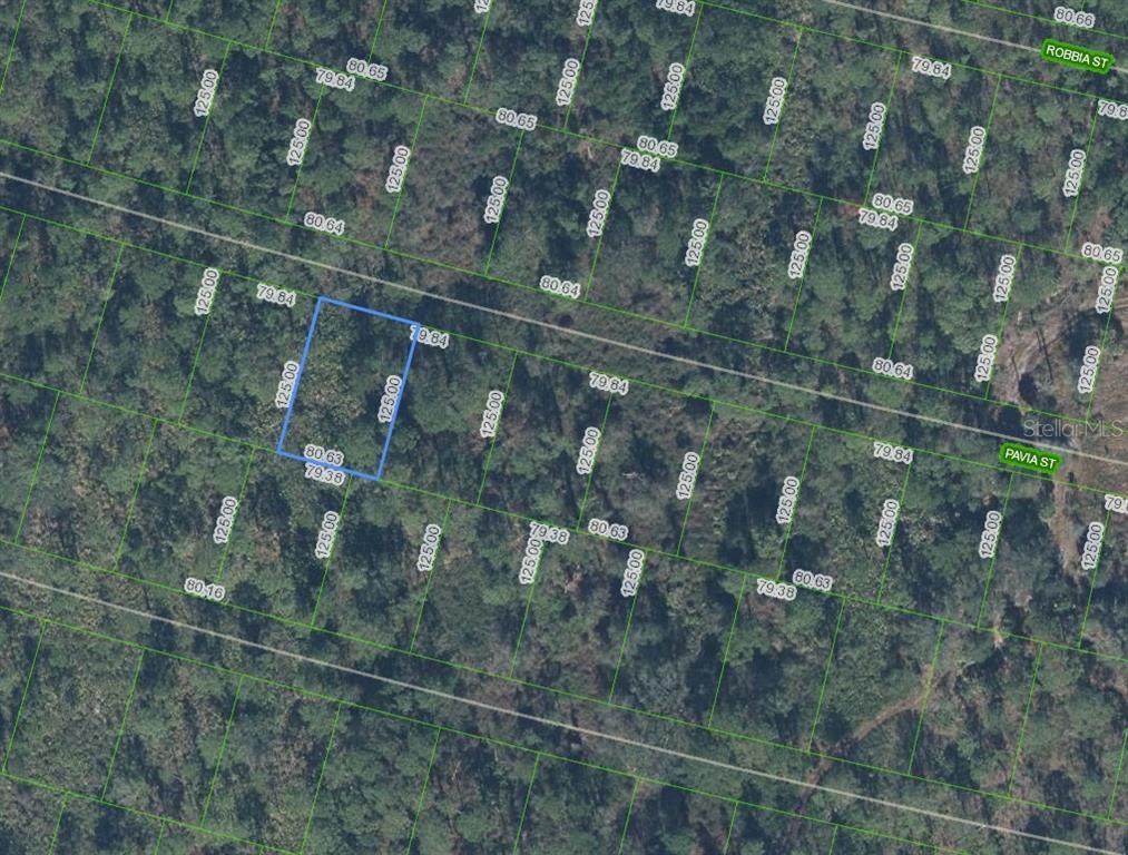 8705 Pavia Street - Photo 1