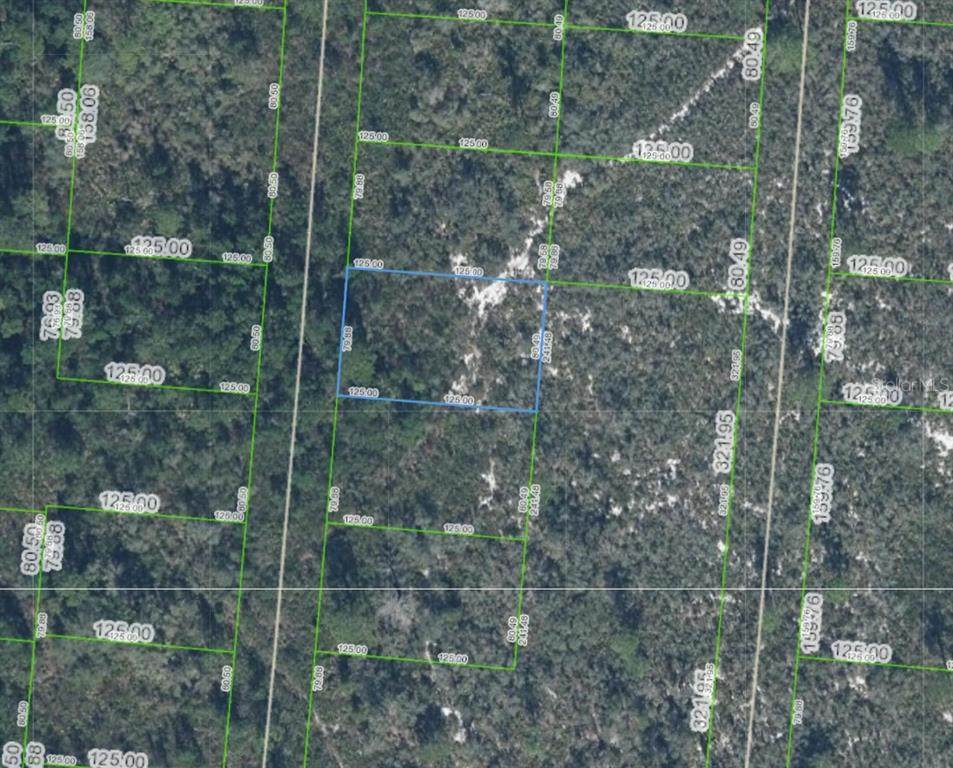 6624 Portilla Drive - Photo 1