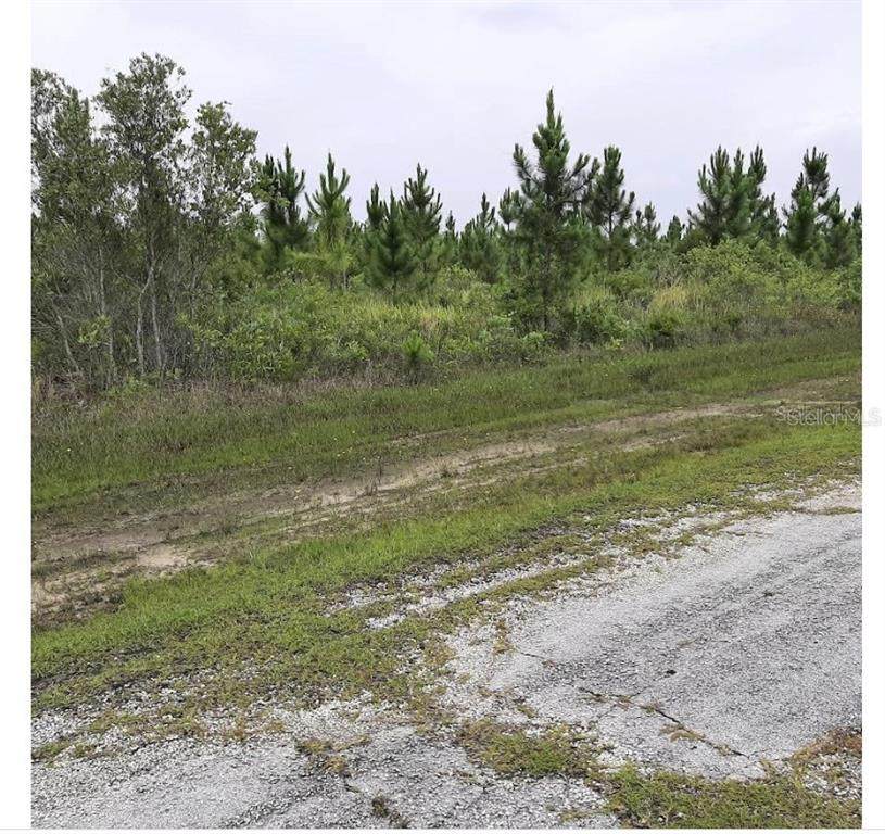  Calliandra Drive - Photo 1