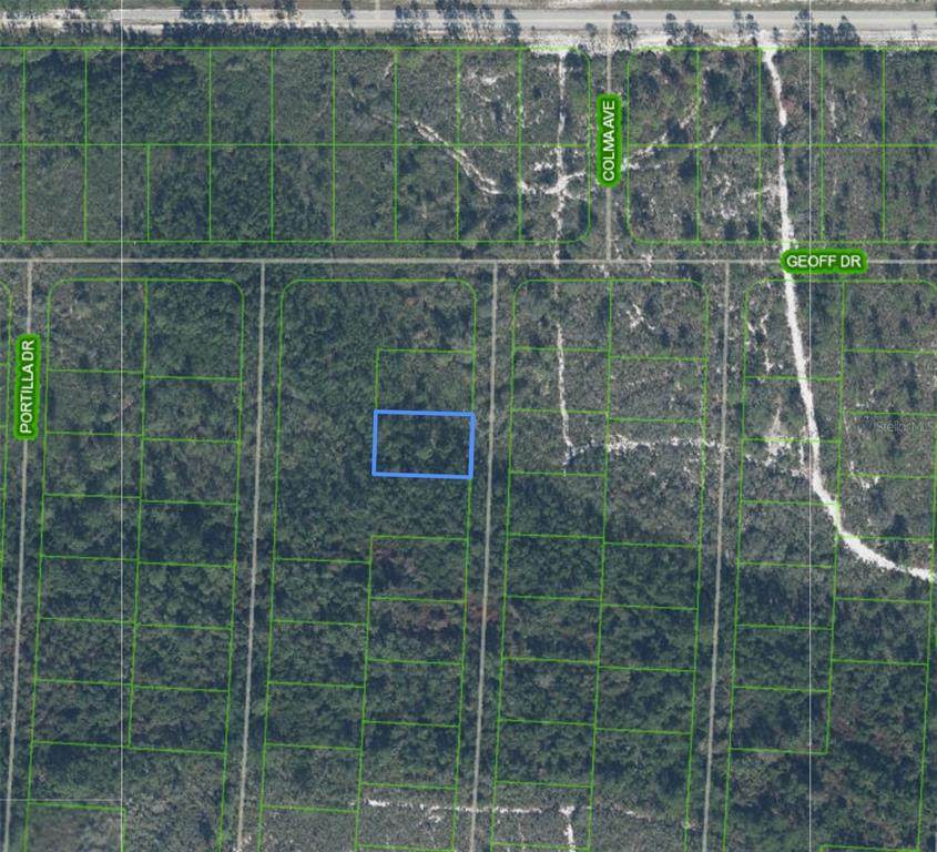 6569 Persis Drive - Photo 1