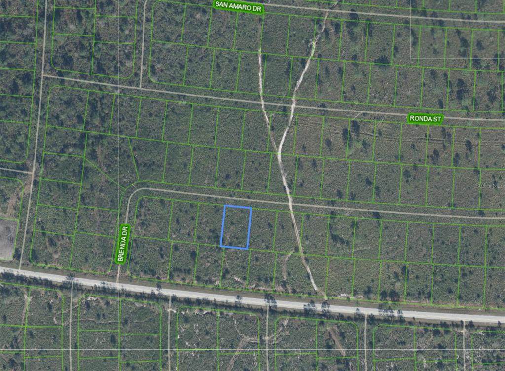 8119 Brenda Drive - Photo 1