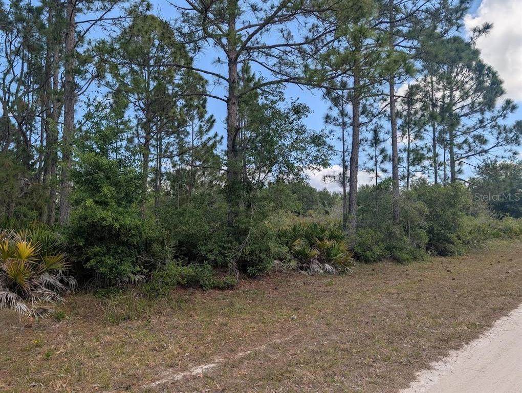 508 Orchid Drive - Photo 1