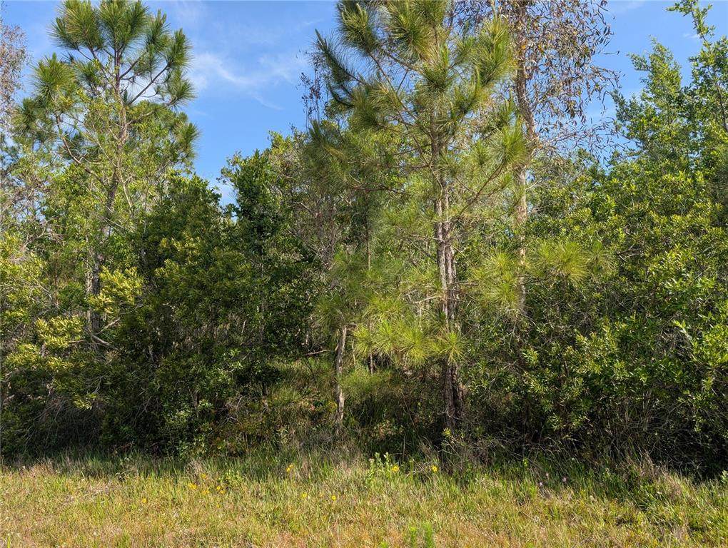 704 Orchid Drive - Photo 1