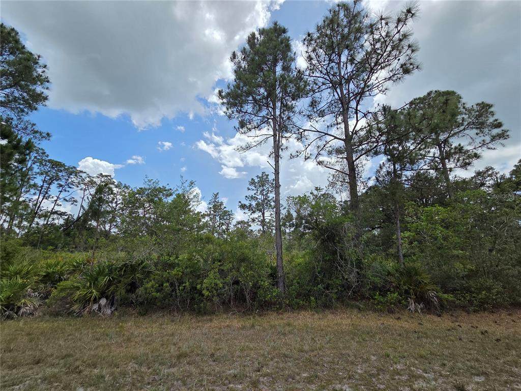 915 Laguna Dr - Photo 1
