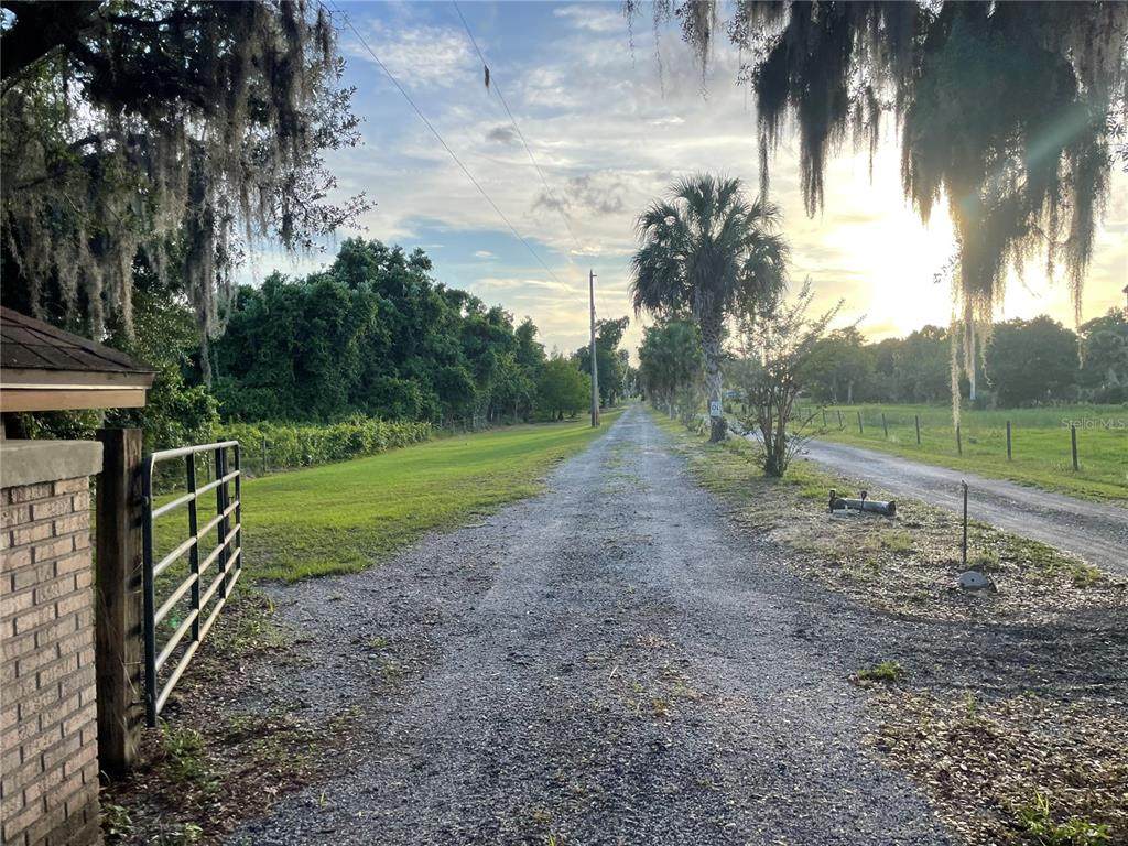  Lake Marion Road - Photo 1