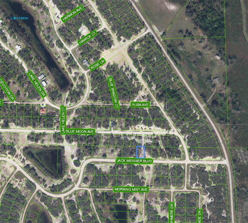 462 Jack Weisser Boulevard - Photo 1