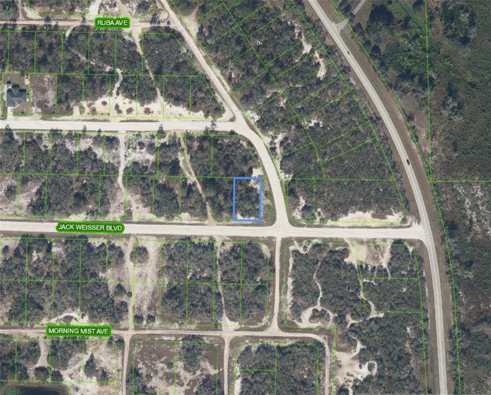 472 Jack Weisser Boulevard - Photo 1