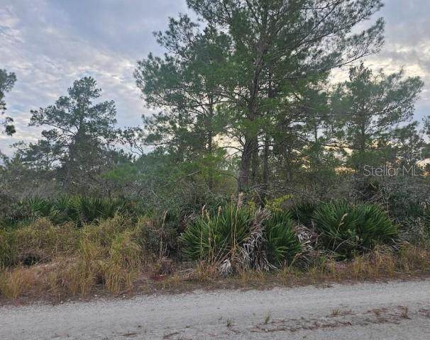 2225 Algonquin Drive - Photo 1