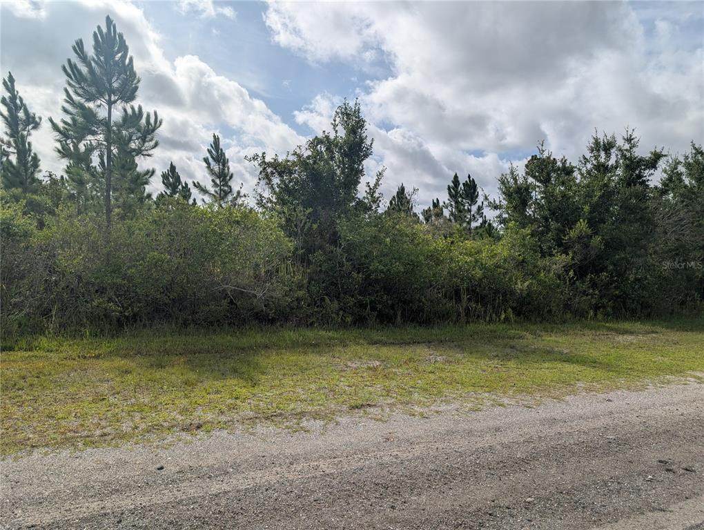 523 Belmonte Drive - Photo 1
