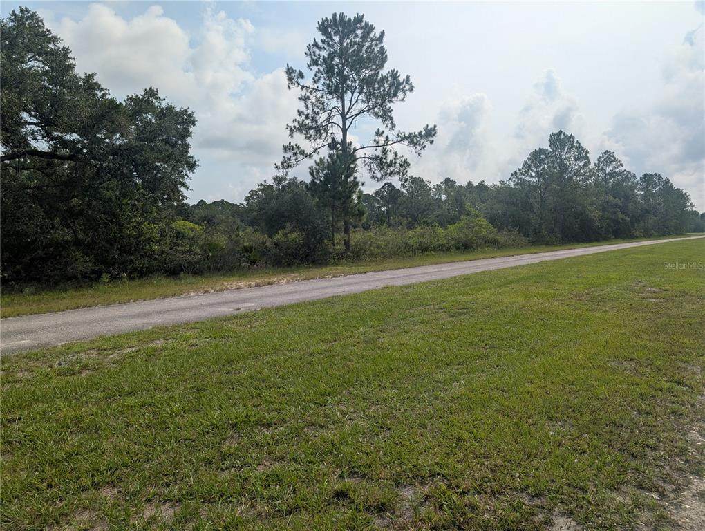 810 Palm Avenue - Photo 1
