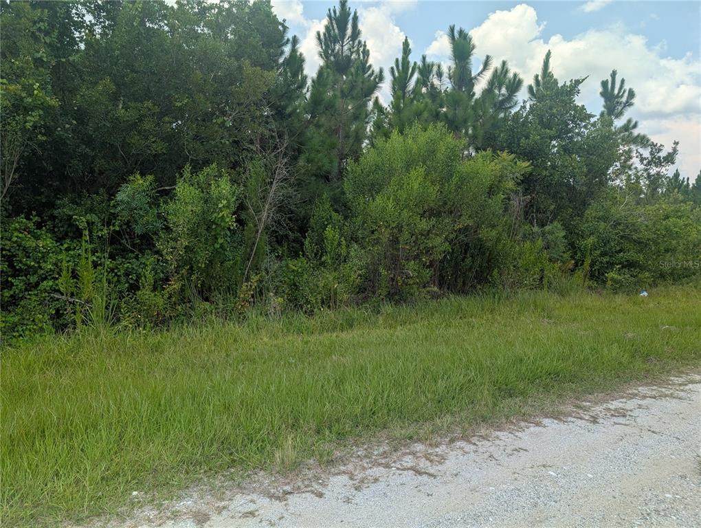 103 Tropicana Drive - Photo 1