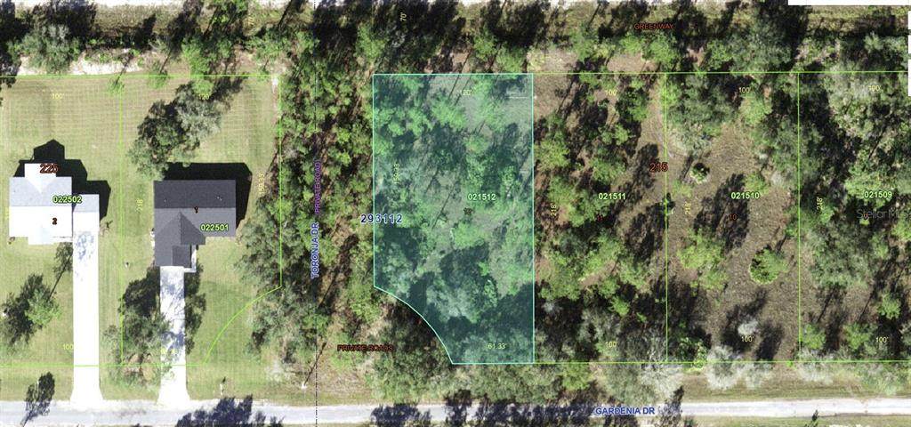 824 Gardenia Drive - Photo 1