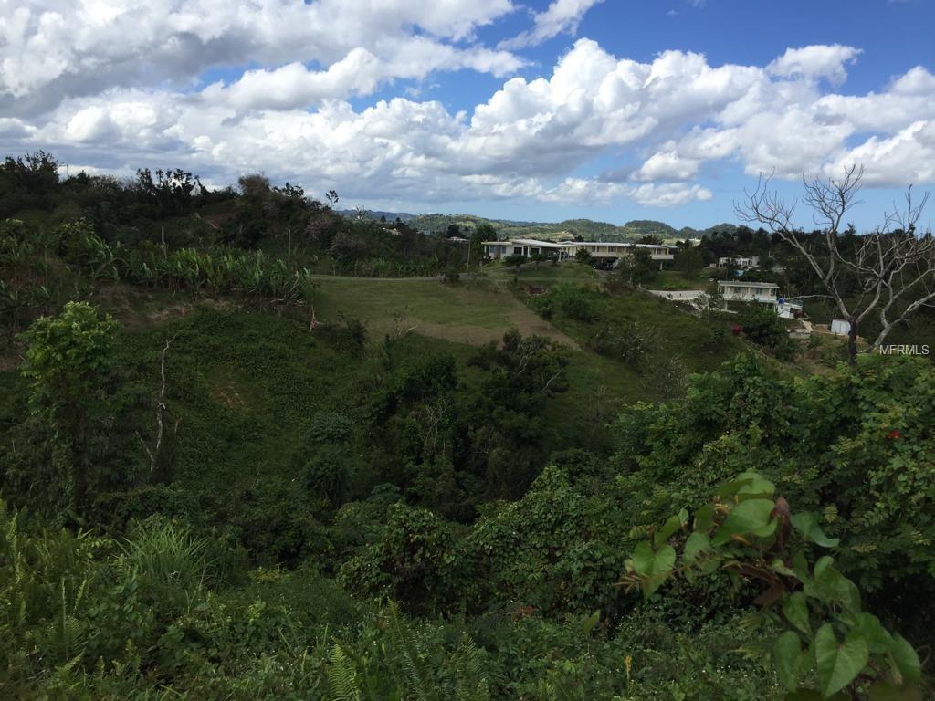 C/6618 Bo. Morovis Sur - Photo 1