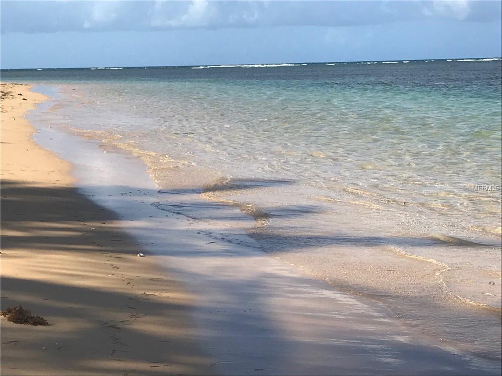 138 Virgin Gorda - Photo 1