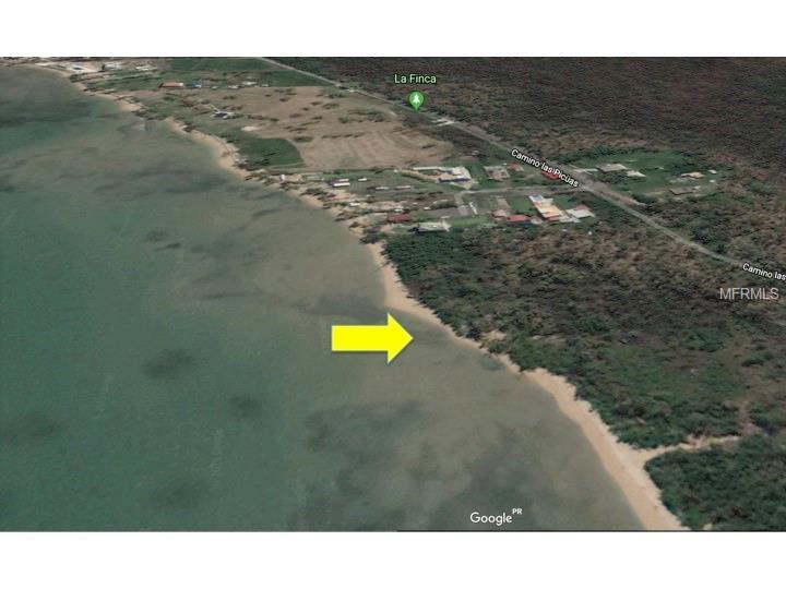 968 Camino Playa Las Picuas - Photo 1