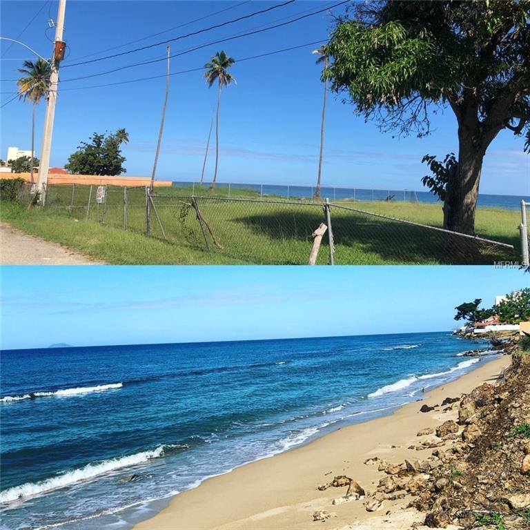 Playa Corcega Carr. 429 Road - Photo 1