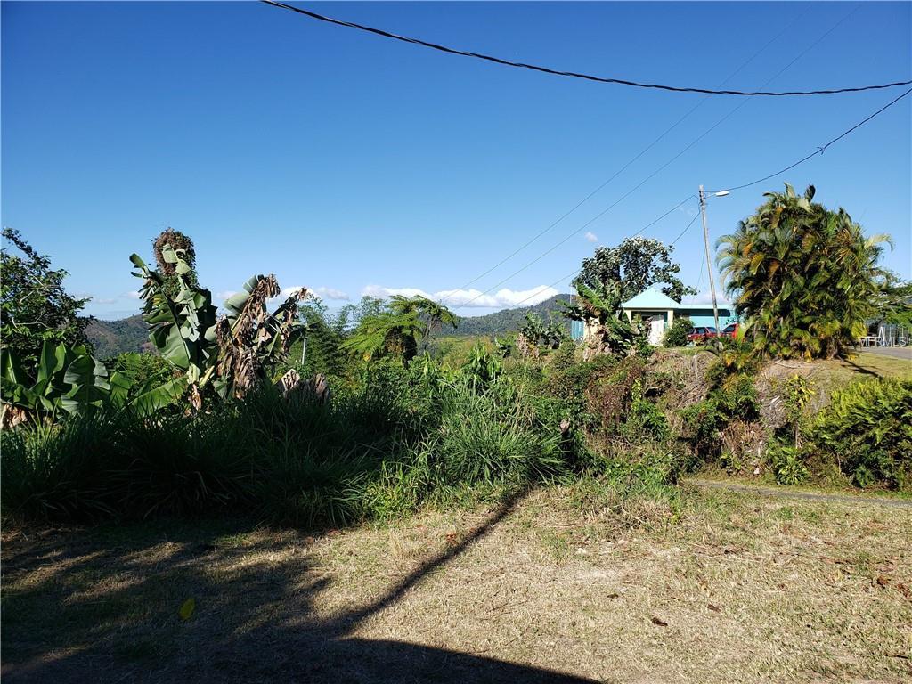 Km 0.7 Interior Pr-5521 Road - Photo 1