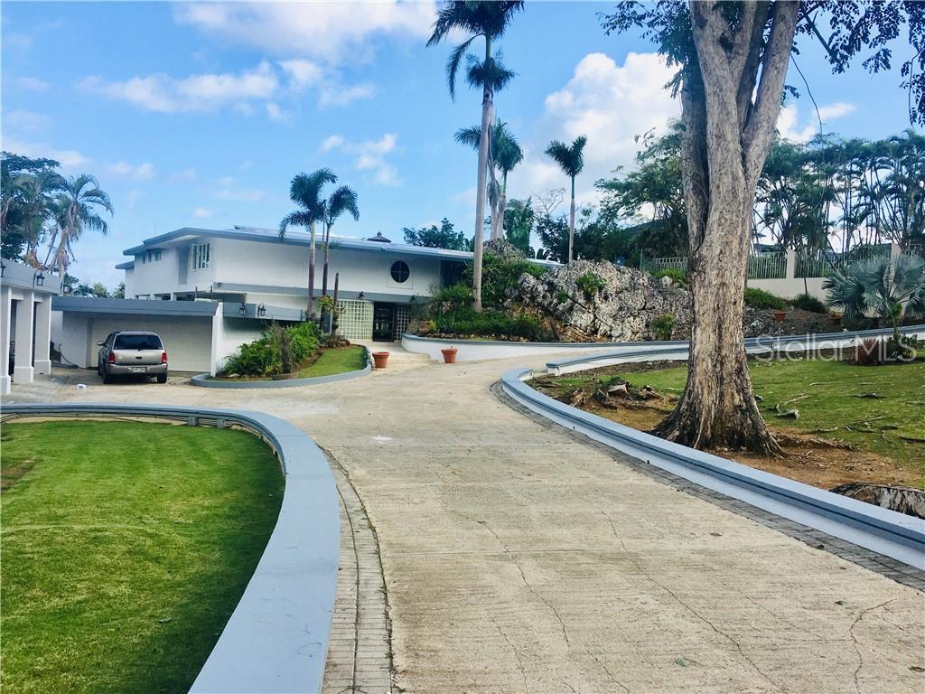 523 Tintillo - Photo 1