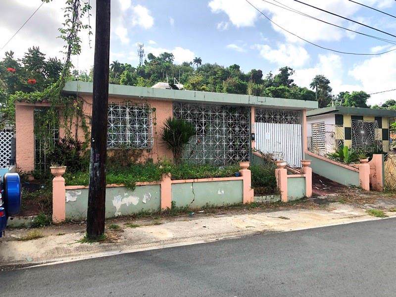 4 Street Colinas Del Este Dev - Photo 1