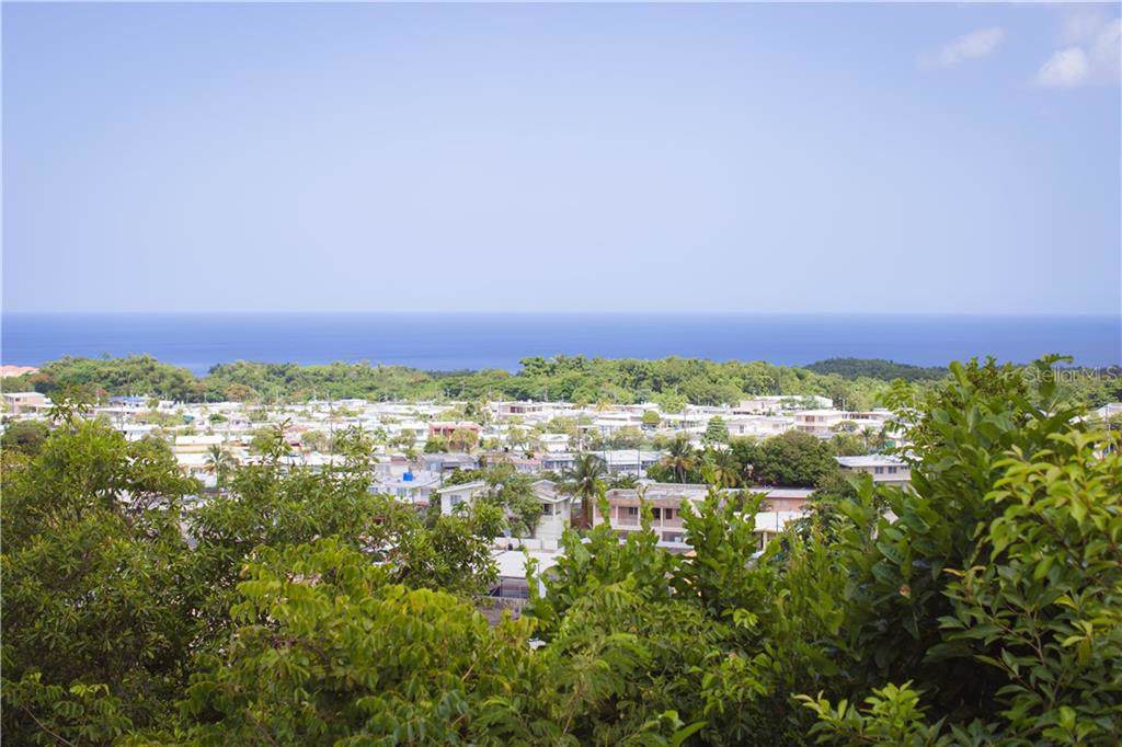 107 Calle Macael - Photo 1