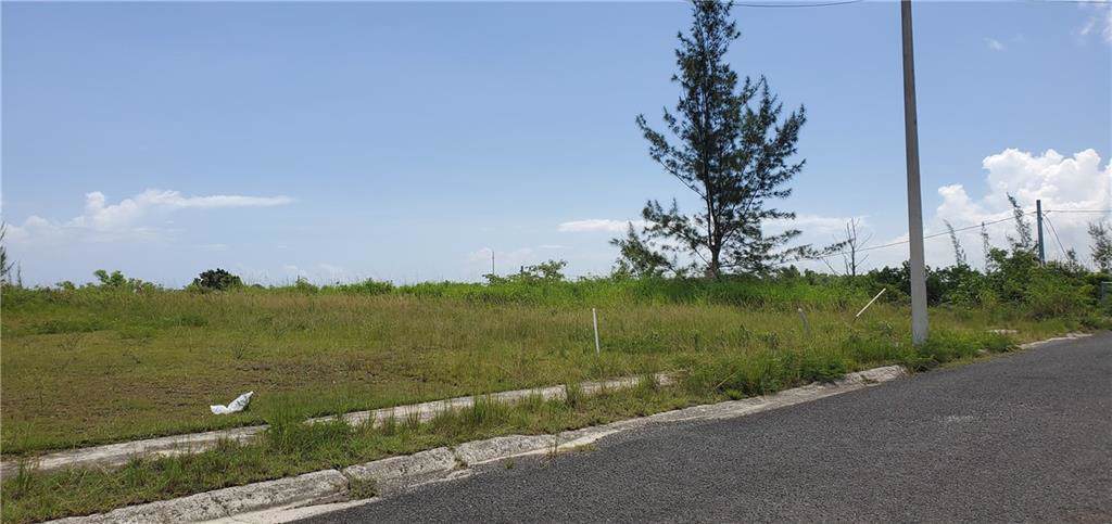 459 km 2.1 Bo. Camaseyes - Photo 1