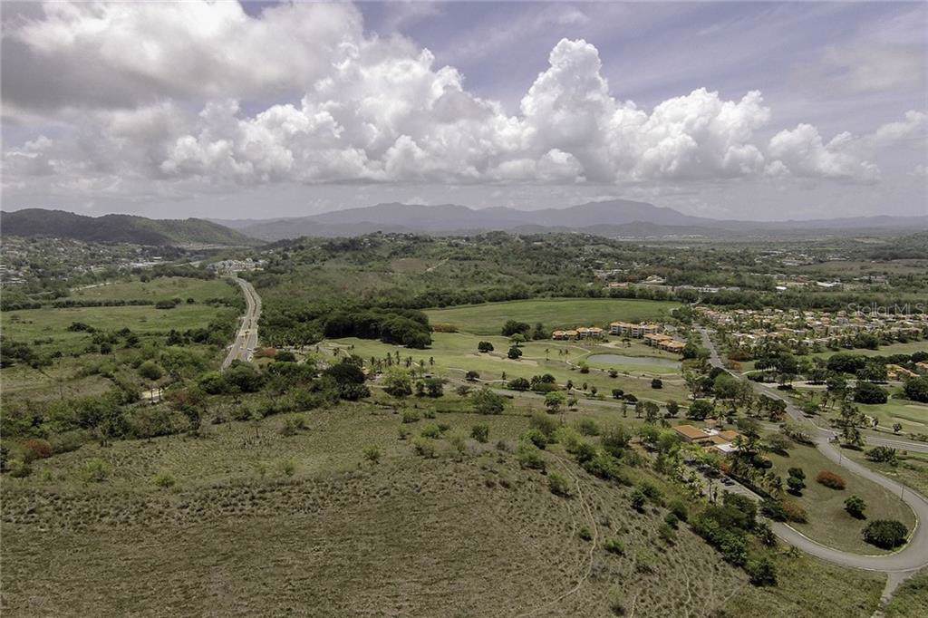 1A Palmas Plantation - Photo 1