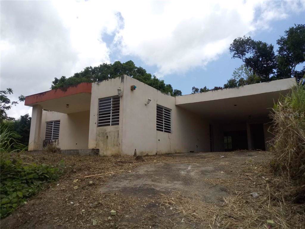 Carr. 984 Naranjo - Photo 1