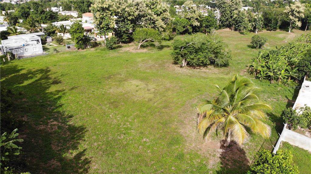 Calle Adela Delgado Km 39.5 Int Bo. Hato Arriba - Photo 1