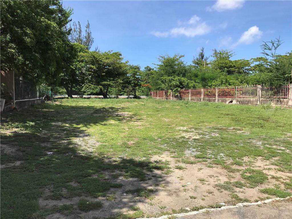 Caribe Street Flat - Photo 1
