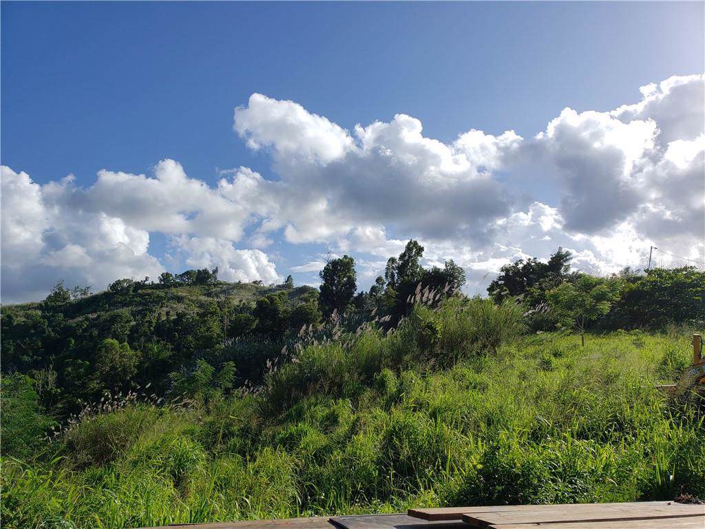 Carr 811 KM 0.9 Int Camino Municipal Bypass - Photo 1