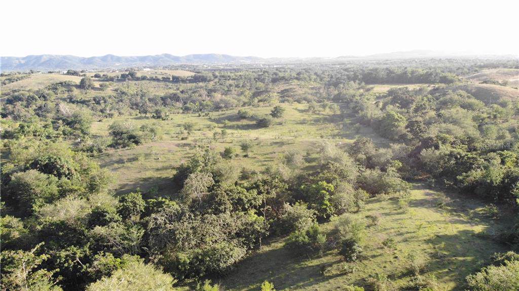 Pr 100 Km 13.1 Int Boqueron - Photo 1
