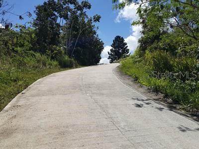 Bo Beatriz Carr 3 1 Km. .Hm 49.8 Hills - Photo 1