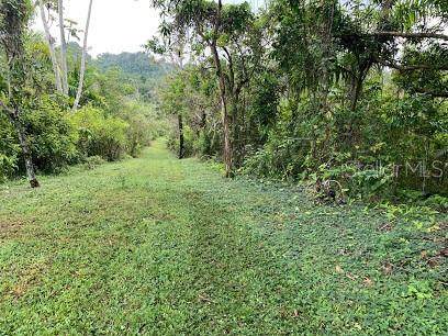 608 La Hacienda 608 FRONTON WARD Road - Photo 1