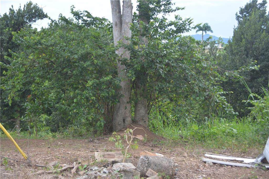 Carr 149 Km 19.5 Int Bo. Pesas - Photo 1