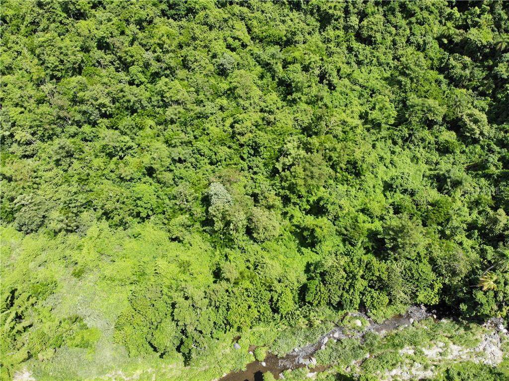 PR 378 Bo. Sierra - Photo 1