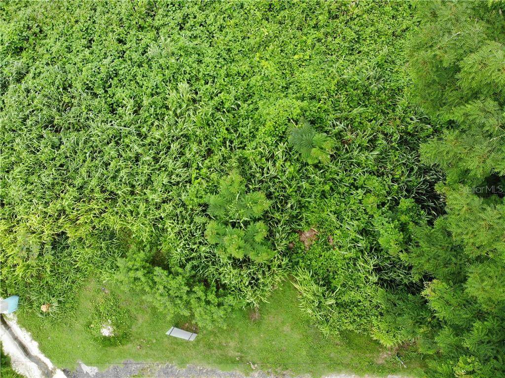 PR 125 Bo. Voladoras - Photo 1