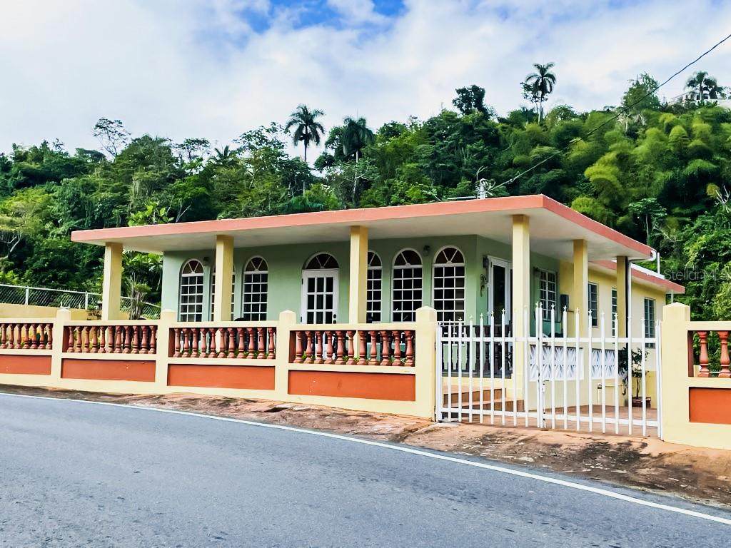Carretera 568 Km 2.2 Bo. Orocovis - Photo 1