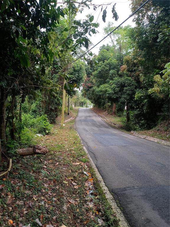 BO JIMENEZ Jimenez Street - Photo 1