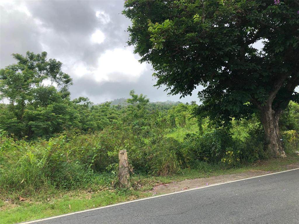 Jaguas Ward 941 Road - Photo 1