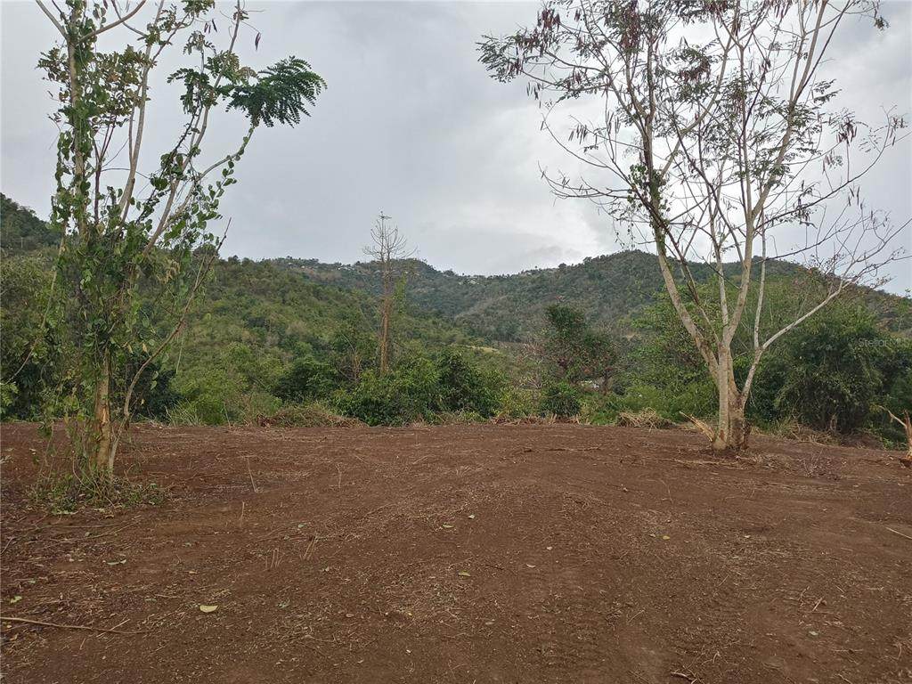 852 Ramal 6852 Street - Photo 1