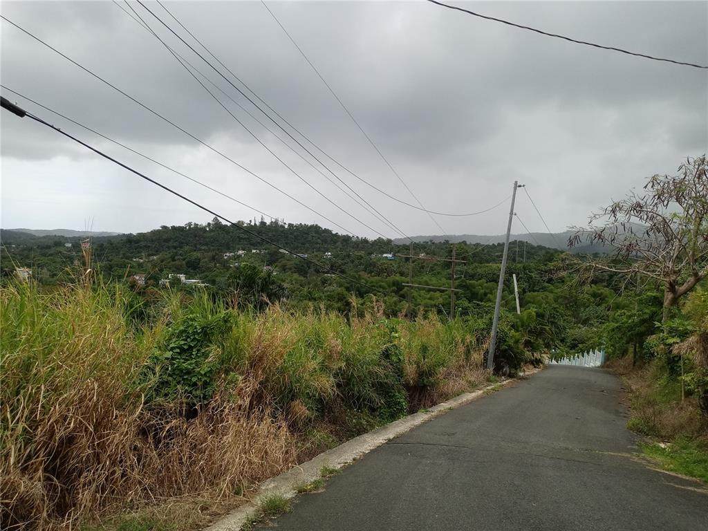 816 Jbo Imenez Street - Photo 1
