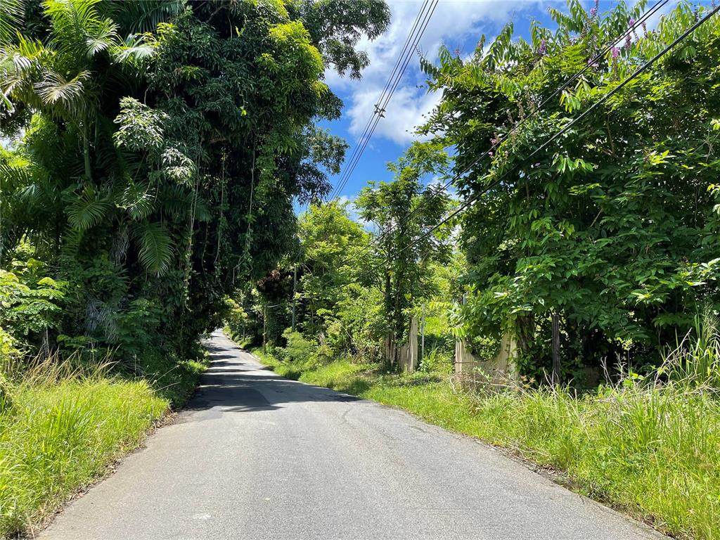 BO JIMENEZ Road 816 Street - Photo 1
