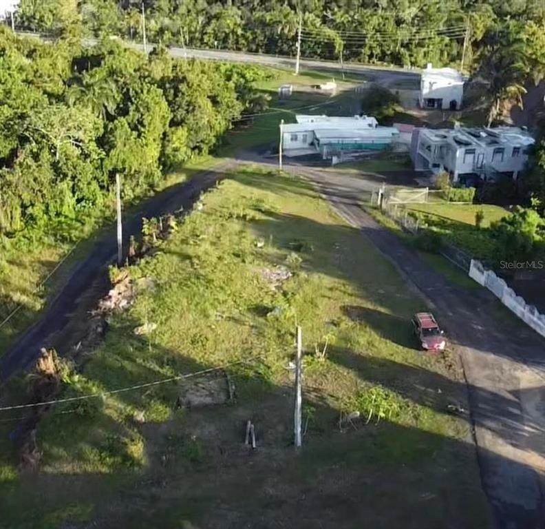 Bo Callejones Km 20.0 Pr-129 Road - Photo 1