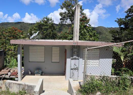 31C Sector Las Carolinas Bo. Bairoa - Photo 1